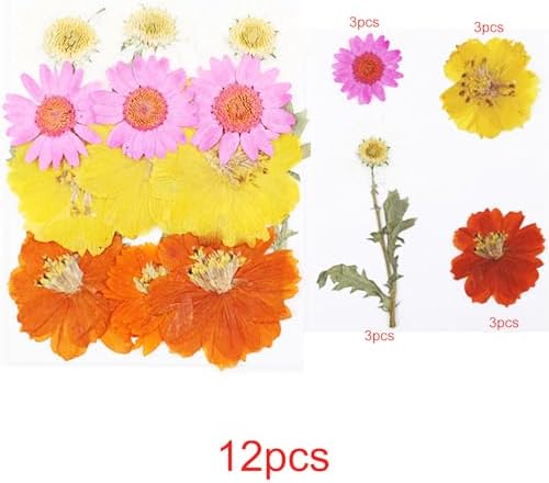Cayway Natural Dried Pressed Flowers, Natural Dried Pressed Leaves, Natural Dry Flowers Leaves with Tweezers, Scissors for Pressed Leaf Art Craft DIY Embellishment Decorations ( Green Yellow Pink)