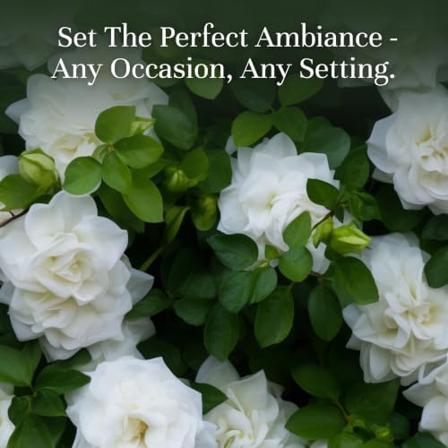 P&J Fragrance Oil Gardenia 100ml - Candle Scents, Soap Making, Diffuser Oil, Fresh Scent