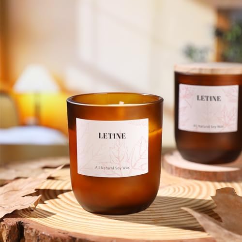 LETINE 12PCS Matte Amber Glass Candle Jars 8oz with Lids - Multi-Purpose Frosted Candle Containers for DIY Candle Making, Herb Storage, Sugar Scrubs, Perfect for Bridesmaids Gifts & Wedding Favor