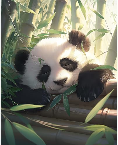 Natuyalo Panda Paint by Numbers Kit for Adults - Animal Paint by Number on Canvas Without Frame, DIY Acrylic Painting for Ideal Gift Home Wall Decor (16x20 Inch)