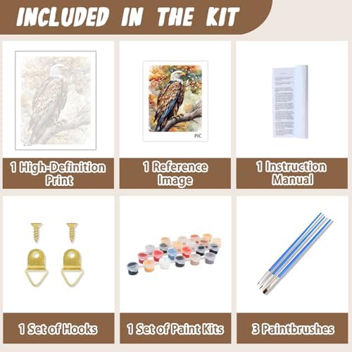 XTCIXAL Paint by Numbers Kit for Adults, Eagle - 16X20 Inch