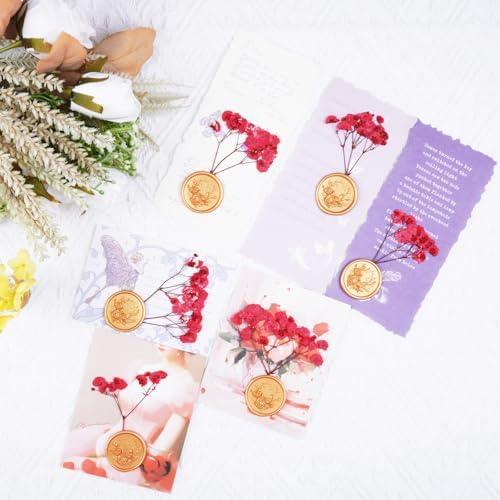 50Pcs Red Babys Breath Dried Pressed Flowers for Crafts,Xinxinran Dry Flowers Kit for Wedding Invitation Accessories,Bookmark,Jewelry Molds,Candle Making Supplies,Soap,Frame,Cakes