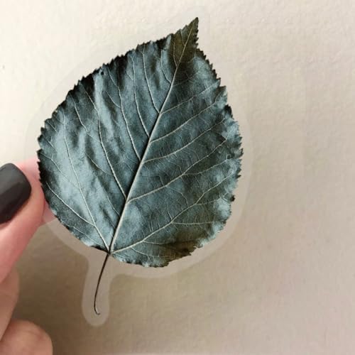 50PCS Natural Floarl Scrapbook Stickers, Pressed Flower Stickers | PET Transparent Scrapbook Supplies for DIY Craft, Planners, Journal, Notebook, Laptop,Water Bottle