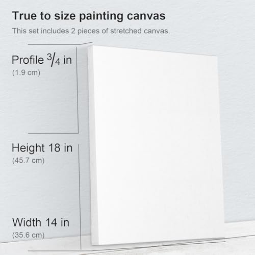 PHOENIX 14x18 Inch 2 Pack Artist Canvas - Large Stretched Canvases for Painting - 3/4 Inch Profile, 100% Cotton 11 Oz. Gesso Primed White Blank Professional Canvas Oil & Acrylic Paints