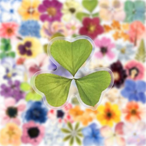 50PCS Transparent Flora Scrapbook Stickers, Flower-E | Vintage Aesthetic Flowers, Vinyl Waterproof, For Scrapbooks Travel Journal, For Water Bottles Laptop Phone