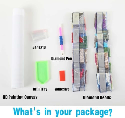 Xylogist Book Diamond Art Kits for Adults, 5D Diamonds Painting 12x12 inch