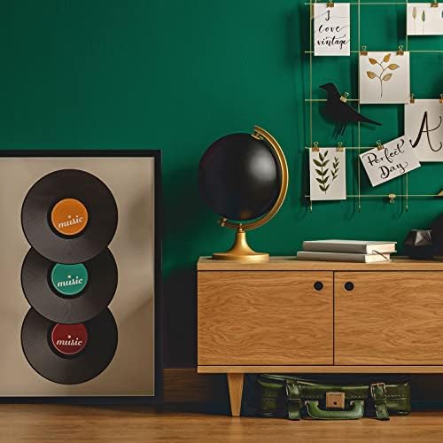 PATIKIL Blank Vinyl Records, 12 Inch 2 Pack CD Fake Vinyl Records for Wall Aesthetic Decor, Decorative Records for Roll Music Room Rock Party DIY Decoration, Black