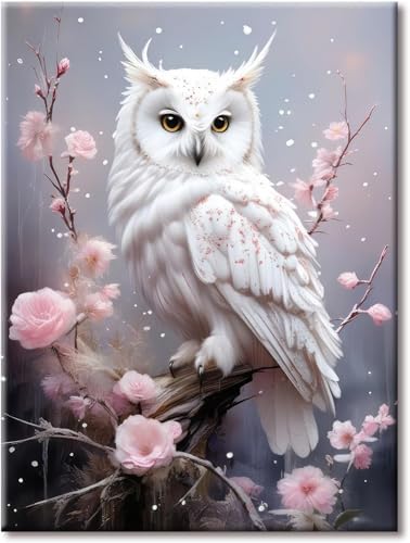 EIBEILI White Owl Paint by Numbers Kit for Adults Beginner,Plum Blossom Adult Paint by Number Kits on Canvas,Easy Canvas Paint by Numbers for Adults for Home Wall Decoration 12 X 16 inch