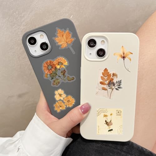 Vintage Aesthetic Scrapbook Stickers Flora Flowers Stickers Brown