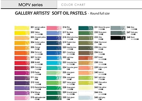 MUNGYO Gallery Artists' Soft Oil Pastels Professional, 48 Assorted Colors, Vibrant and Blendable