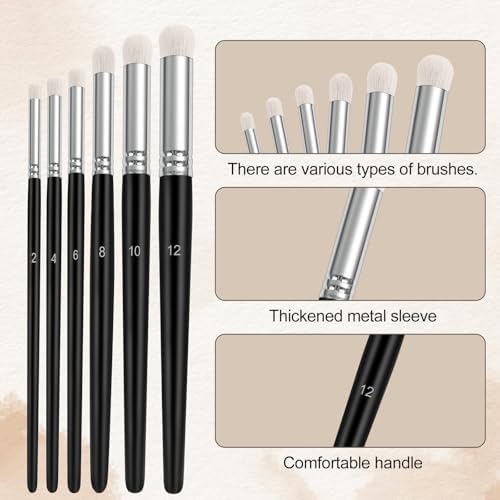 Dry Brush Set, 6 Different Sizes