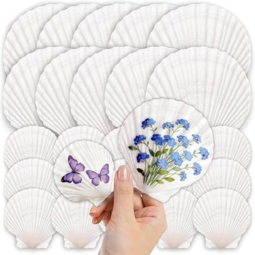25PCS Large Natural Scallop Shells for Crafts, 4-5 in White Sea Shells, DIY