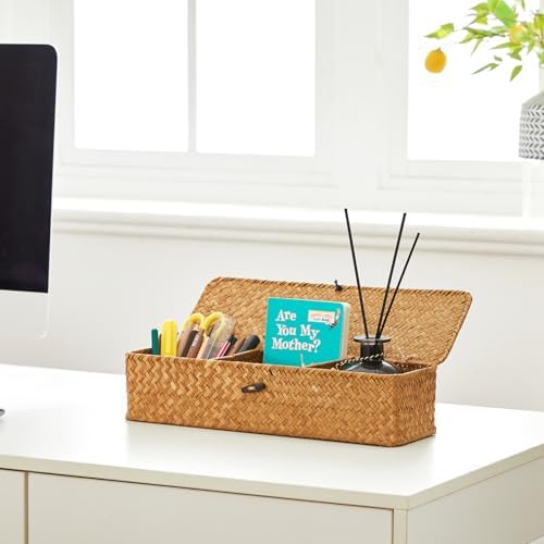 Nonam 3-Section Divided Storage Small Basket with Lid,Shelf Basket-Natural