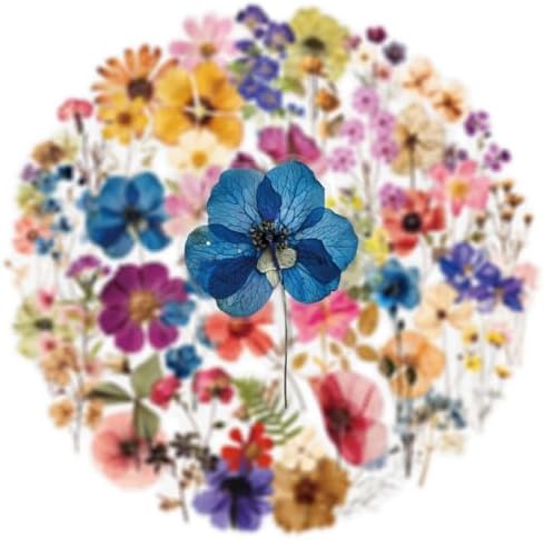 50PCS Transparent Flora Scrapbook Stickers, Vintage Aesthetic Flowers Sticker for Scrapbooks Travel Journal, Vinyl Waterproof for Water Bottles Laptop Phone Scrapbook Supplies DIY Crafts (Flower-B)