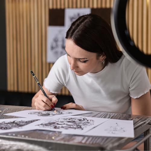 PATIKIL 24Pcs Drawing Pencils for Sketching, H Refill Sketch Pencils for Drawing, Graphite Art Pencil Set Professional Resistant Lead for Painting Shading Artist Office Supplies