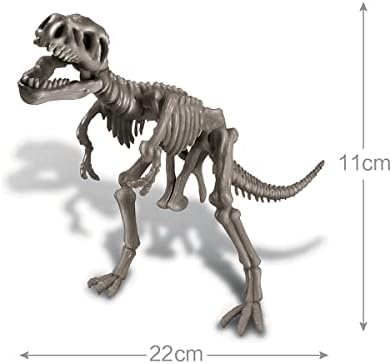 4M | STEAM Dinosaur World Exploration| Hands-On Science Kit with Dinosaur Figures & Fossil Experiments for Kids Ages 5+ - Educational Paleontology Toy Gift