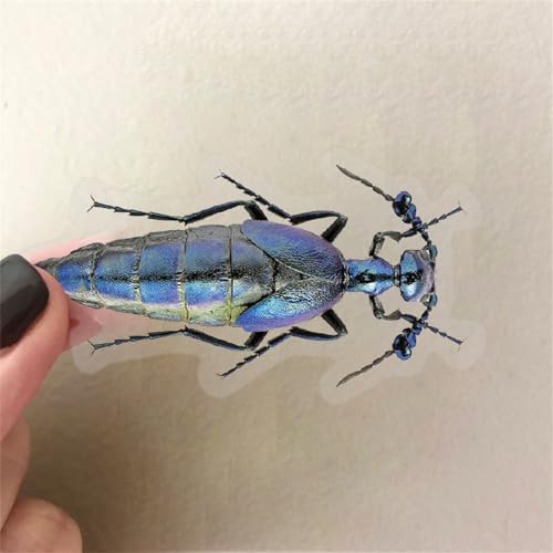50PCS Cartoon Insects Stickers Aesthetic PET Transparent Insect Decal Waterproof Decorative Decals for Scrapbook DIY Crafts Album Bullet Journal Planner Water Bottles Laptop Phone (Insect)