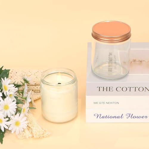 MILIVIXAY 20 Pack 8 OZ Thick Glass Clear Candle Jars with Rose Gold Lids-Bulk Empty Candle Jars for Making Candles-Canning Jar for Spice, Liquid, Sample- Dishwasher Safe.