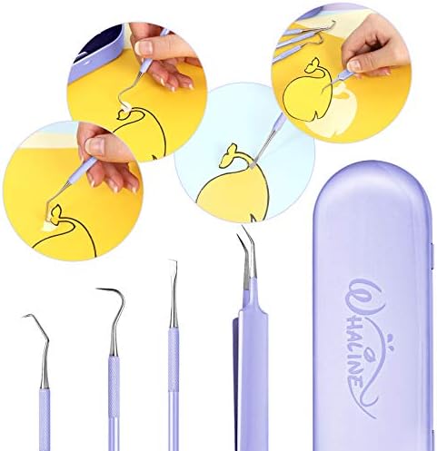 Whaline Vinyl Weeding Tools Set of 4, Precision Stainless Steel Weeder Kit with Case, Includes Scraper, Hook, Spatula, Tweezers for Silhouette Cameo, Lettering & Paper Craft (Purple)