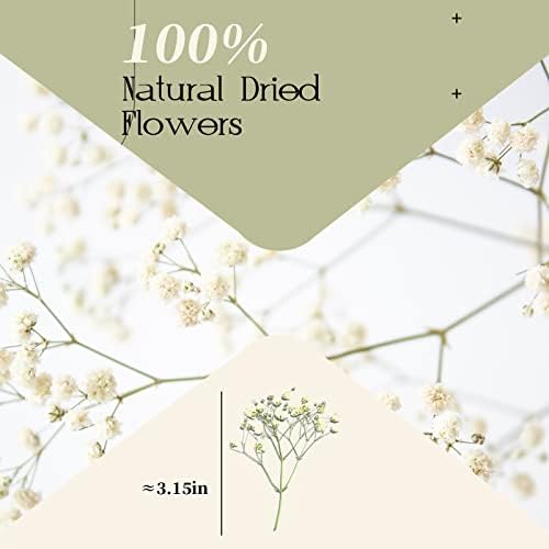 Dried Babys Breath White, 48pcs Dried Flowers for Resin