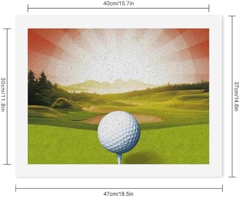 QMNBTES Paint by Numbers Kit for Adults Beginner Golf Sport Paint by Number Kits on Canvas Number Painting Drawing Paintwork DIY Oil Painting Kits for Gift Home Wall Decor