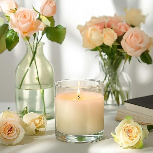 SUPMIND 12 Pack 14 fl.oz Glass Candle Jars, Clear Jars for Making Candles