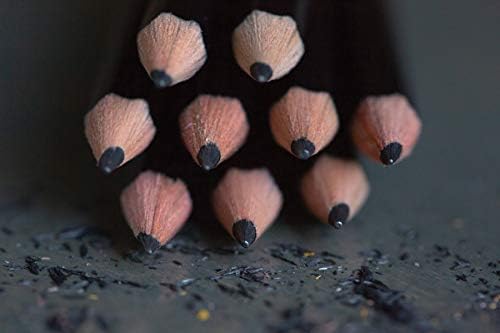 Ticonderoga Pencils, 2 HB Soft, Black | Wood-Cased | Unsharpened | 24 Count Total