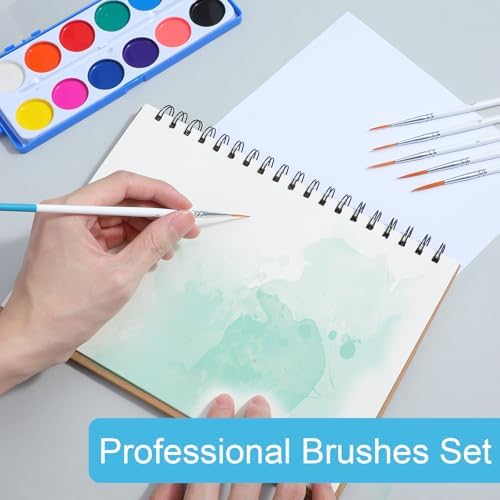 Script Liner Brush, 6 PCS Highly Flexible Paint Brushes Extra Long Fine Point Liner Tip Fine Detail Paintbrushes for Model, Fingure, Watercolor, Acrylic, and Miniature Painting
