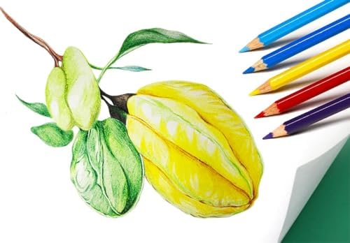 SKKSTATIONERY Colored Pencils, 288Pcs, 12 Colors | Pre-sharpened, Back to school, 12pcs/box, Total 288Pcs Color pencil set