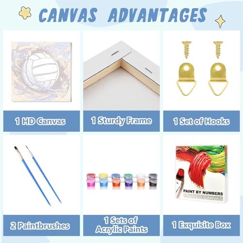 XTCIXAL Paint by Numbers Kit for Kids, Volleyball, 8X8 inch