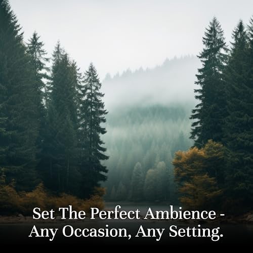 P&J Trading Fragrance Oil Favorite Set | Candle Scents for Candle Making, Freshie Scents, Soap Making Supplies, Diffuser Oil Scents