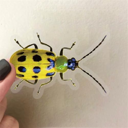50PCS Cartoon Insects Stickers Aesthetic PET Transparent Insect Decal Waterproof Decorative Decals for Scrapbook DIY Crafts Album Bullet Journal Planner Water Bottles Laptop Phone (Insect)