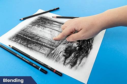 Pacific Arc Premium Charcoal Drawing Pencils for Artists - 12 pieces Soft, Medium, Hard - Professional Artist Pencils for Drawing, Sketching, Shading