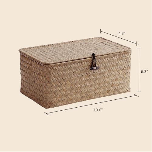 Nonam Small Wicker Basket with Lid,Seagrass Shelf Storage Basket,Coffee