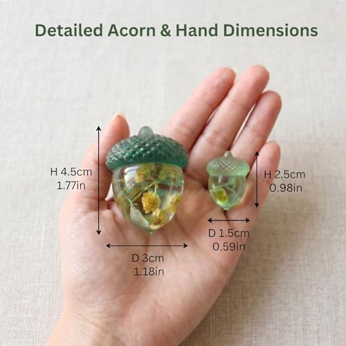 2PCS Acorn Silicone Resin Mold, Clear Acorn Shape Epoxy Casting Mold Textured Cap Design for DIY Jewelry, Keychain, Home Decor, Craft