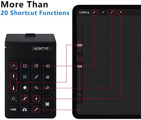 Keyboard for Procreate, 22 Shortcut Keys Wireless Keyboard for iPad Digital Drawing, 84H Battery Life Such as Painter/AI/SAI/CSP/PS, etc(Black)