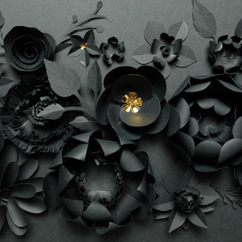 Accent Design Paper Accents Variety Pack, Back in Black Cardstock, 12x12 Inch, 10 Sheets, 5 Different Black Cardstocks, Scrapbooking Cards and Crafts