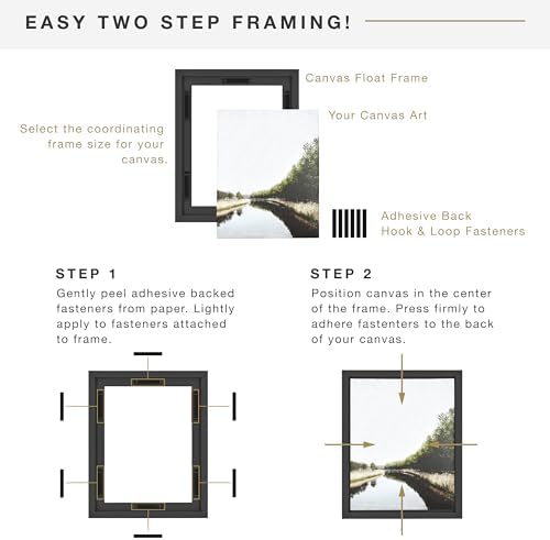 MCS Canvas Float Frames Canvas Black Finish Frame, Vertical & Horizontal Wa