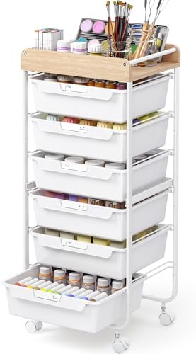 SYKIARIOL Rolling Cart with 6 Drawers,Art Craft Organizer and Storage,White