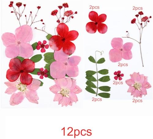 Cayway Natural Dried Pressed Flowers, Natural Dried Pressed Leaves, Natural Dry Flowers Leaves with Tweezers, Scissors for Pressed Leaf Art Craft DIY Embellishment Decorations (Green Pink Red)