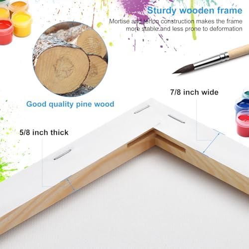 Stretched Canvas for Painting 24 x 36 Inch, 2 Pack Large Blank Canvas, Triple Primed Acid-Free Cotton, Professional Canvas for Acrylic Oil Pouring & Wet Media