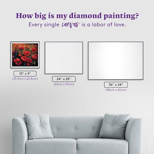DIAMOND ART CLUB Poppy Field Diamond Art Kits for Adults