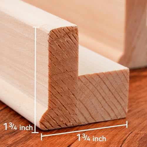 PHOENIX 20x30 Inch 2 Pack Heavy Duty Stretched Canvas - 1 3/4" Thick Large Rectangle Canvas for Painting - Master Series 15 Oz. Gesso Primed Cotton Archival Canvases for Professional Artists