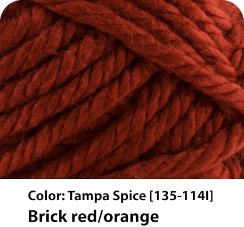 Lion Brand Yarn Hometown Yarn, Super-Bulky Yarn for Knitting, Crocheting, and Crafting, 1 Pack, Tampa Spice