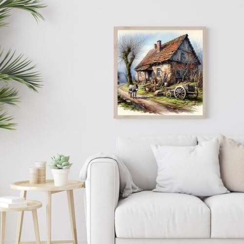 countryside Diamond Art Kits for Adult Diamond Painting Kit for Beginner