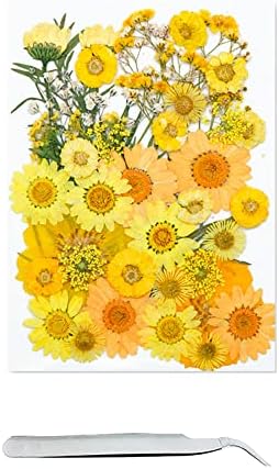 Cayway 40 Pcs Real Pressed Flowers Dry with Tweezers Set, Dried Flowers for Resin Scrapbooking DIY Art Crafts, Epoxy Resin Jewelry, Soap Making