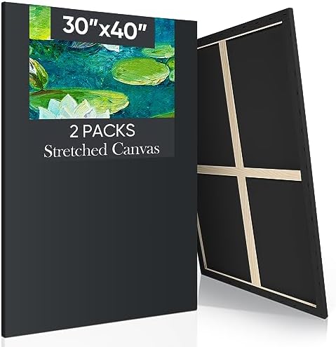Ctosree 2 Pack Stretched Canvas for Painting, Large Black Cotton Art Large Triple Primed Profile Blank Canvases for Watercolor Acrylics Oil Painting(30 x 40 Inch)