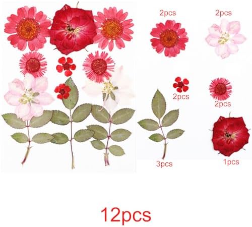 Cayway Natural Dried Pressed Flowers, Natural Dried Pressed Leaves, Natural Dry Flowers Leaves with Tweezers, Scissors for Pressed Leaf Art Craft DIY Embellishment Decorations (Green Pink Red)