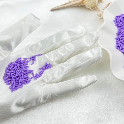 150g Fake Sprinkles Resin Sprinkles Clay Sprinkles Fake Candy Sprinkles Polymer Sprinkles Polymer Clay Slices for Resin Nail Slime Scrapbook DIY Art Crafts Making(243-purple)