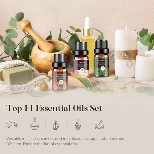Woody & Herbal Essential Oils Set - TOP 14 Fragrance Oil for Diffusers, Aromatherapy, Candle Making - Sandalwood, Cedarwood, Teakwood, Vetiver Aromatherapy Scented Oils (5ml)